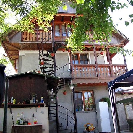 Casa Oana Hotel Sulina Bagian luar foto