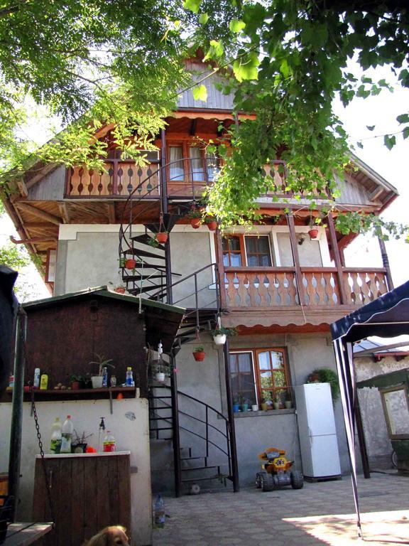 Casa Oana Hotel Sulina Bagian luar foto